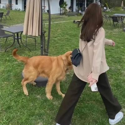 烘焙小精灵