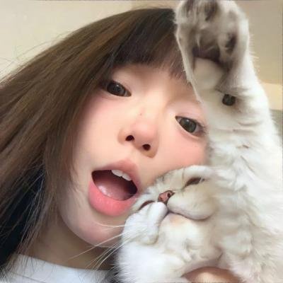 倒霉熊的杯子之旅